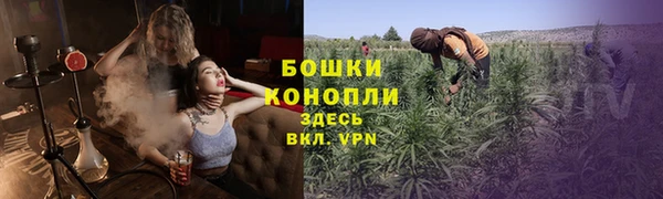 сатива Осинники