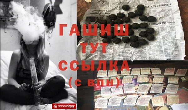 сатива Осинники