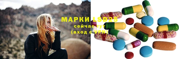 хмурый Няндома