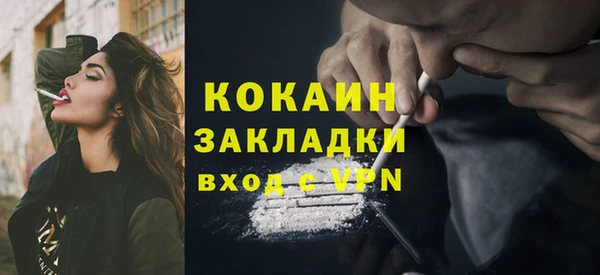 хмурый Няндома