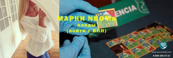 хмурый Няндома
