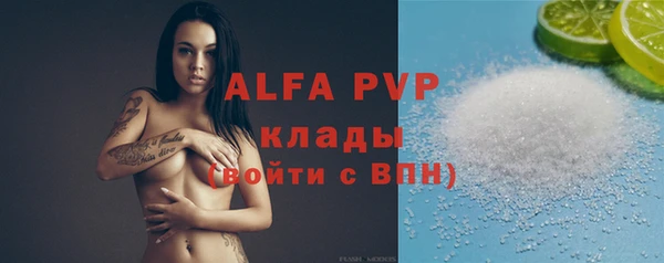 хмурый Няндома
