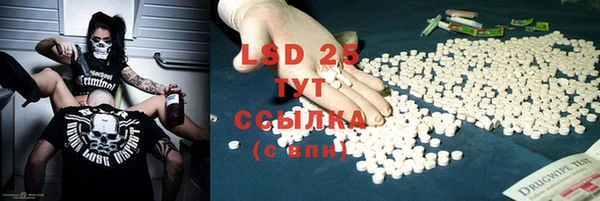 хмурый Няндома