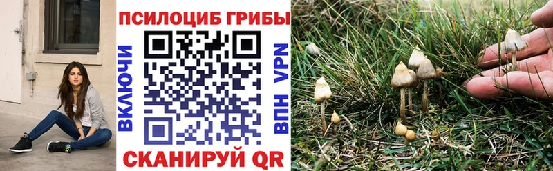 Купить закладки Камешково Галлюциногенные грибы Cubensis
